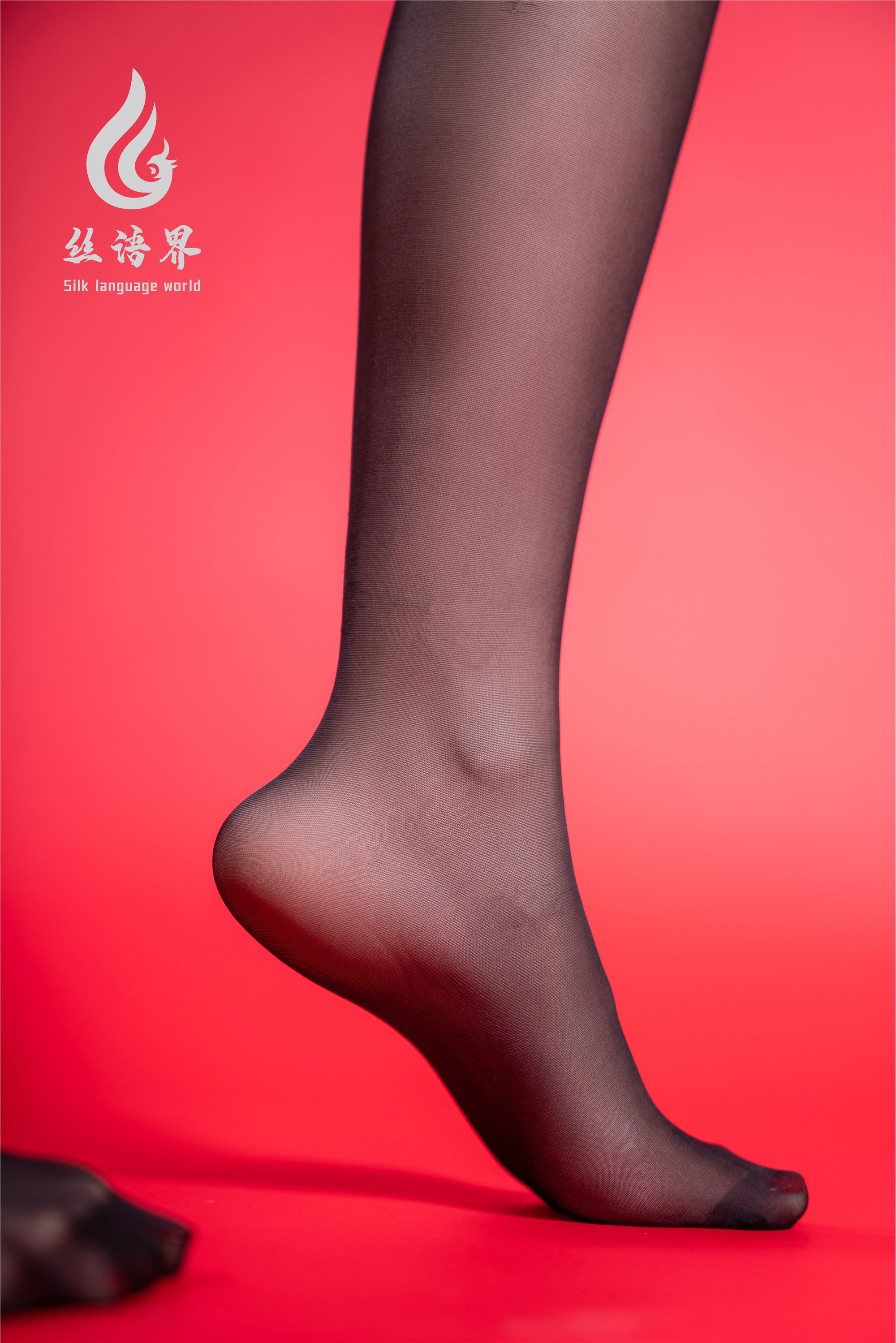 Ligui丽柜 2021.05.11 网络丽人 Model 淼淼